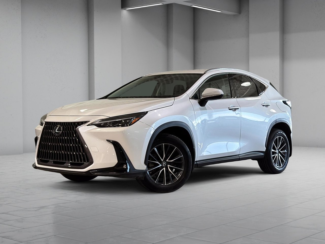 2022 Lexus NX 250 AWD