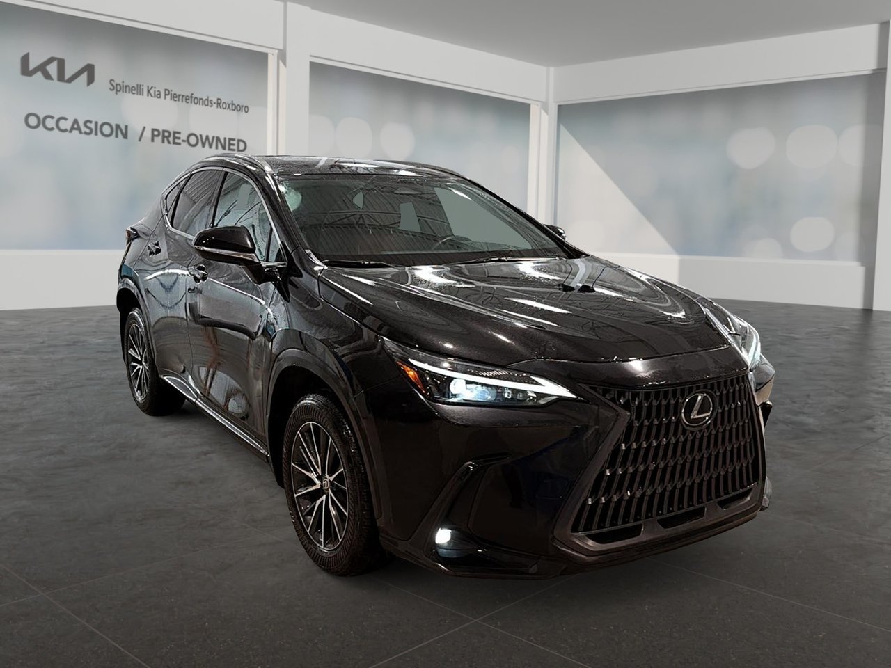 Lexus NX 2024