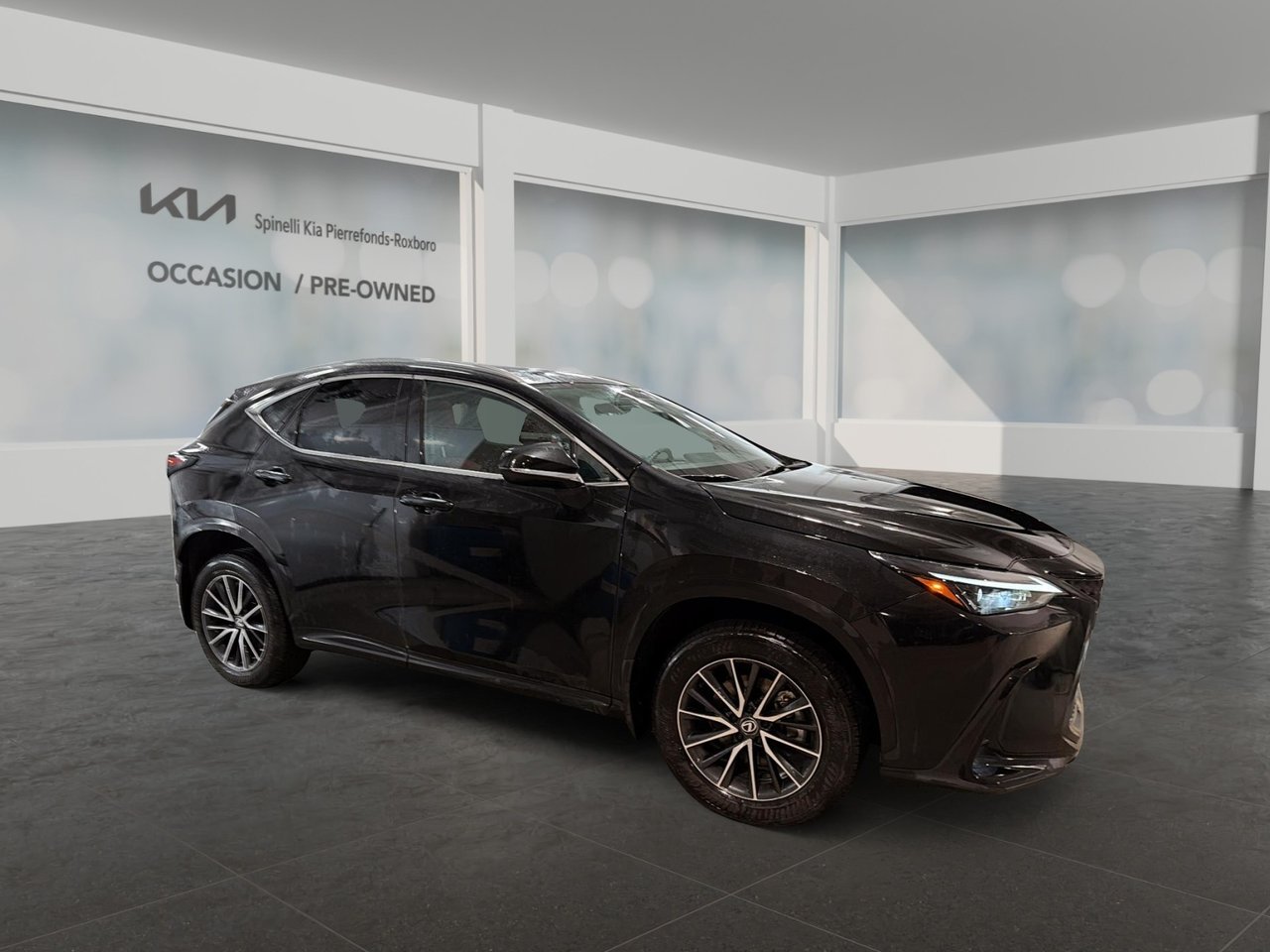 Lexus NX 2024