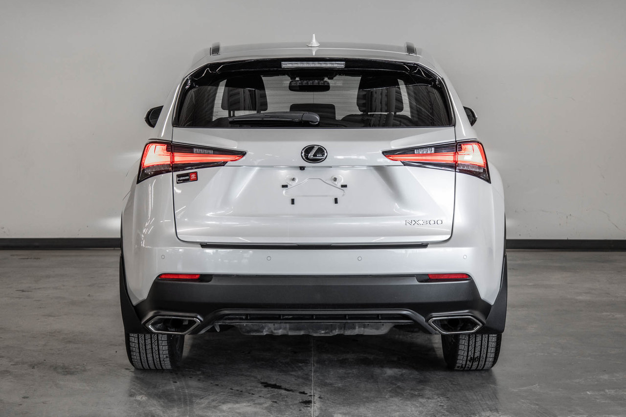 2020 Lexus NX 300-6
