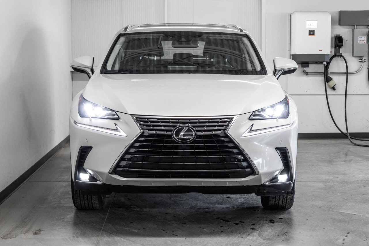 2020 Lexus NX 300-1
