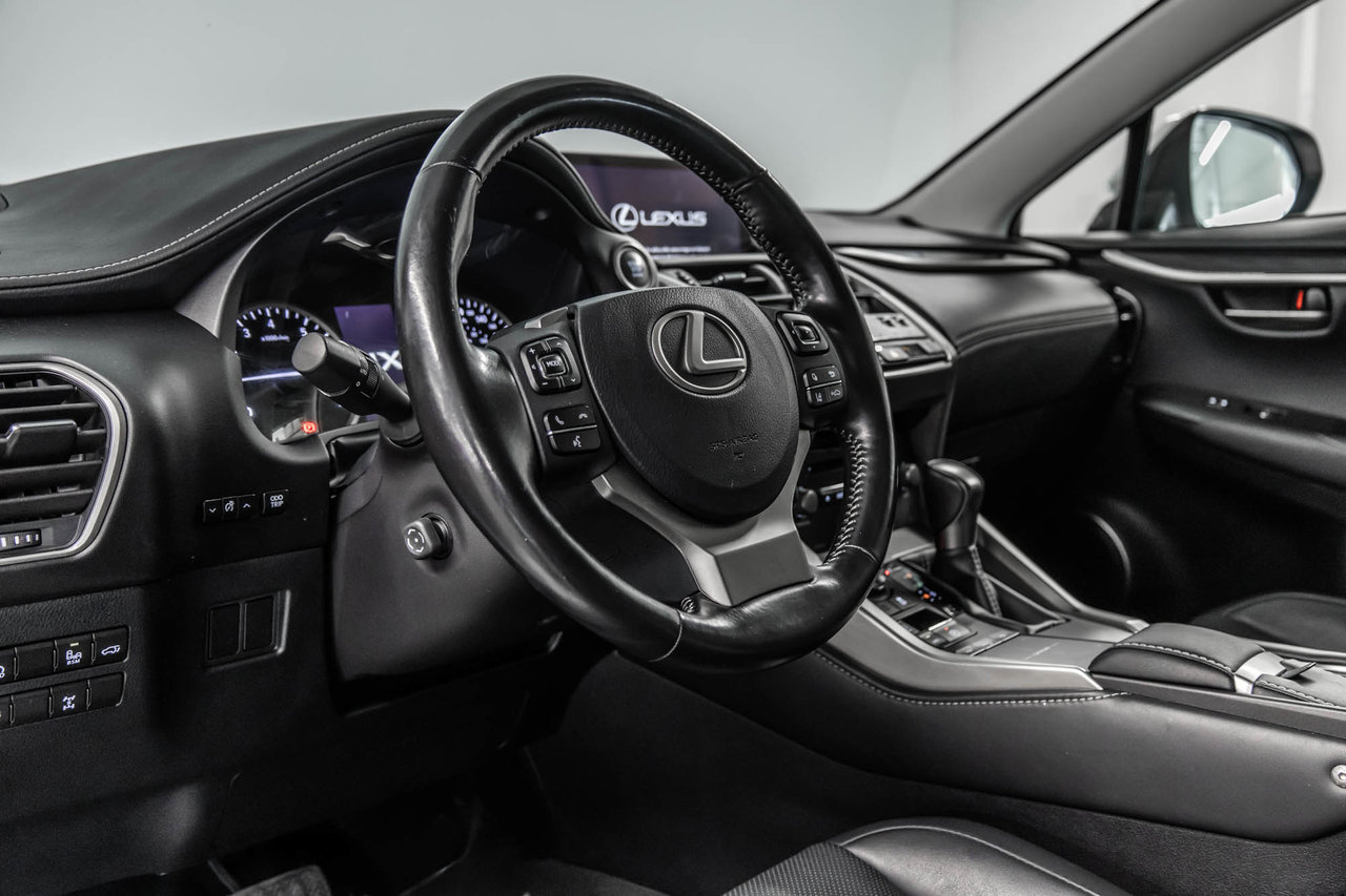 2020 Lexus NX 300-14