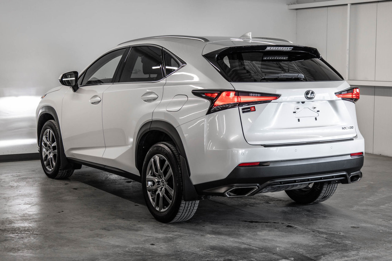 2020 Lexus NX 300-5