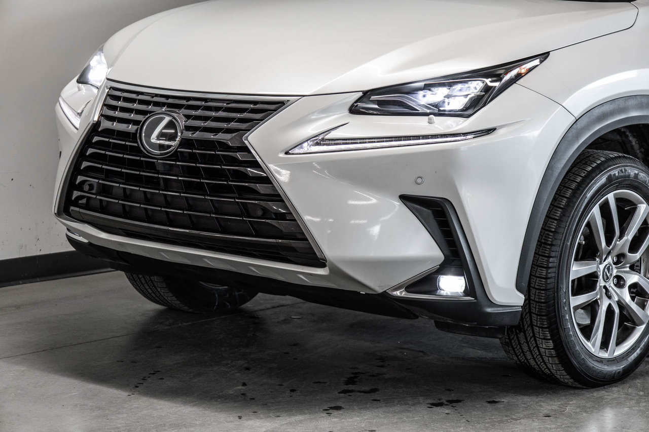 2020 Lexus NX 300-2