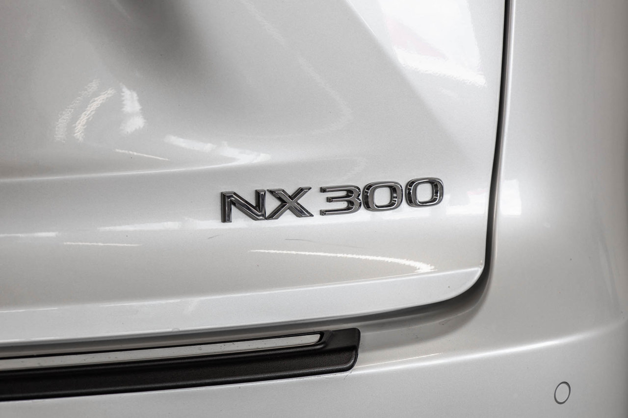 2020 Lexus NX 300-8