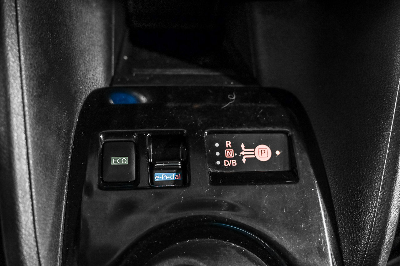 2018 Nissan LEAF S-19