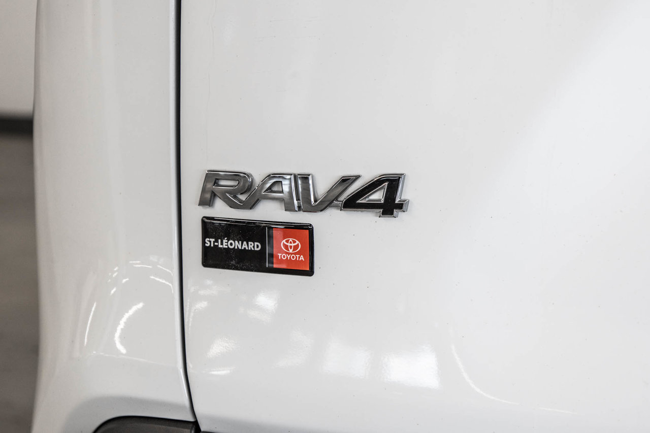 2019 Toyota RAV4 XLE-8