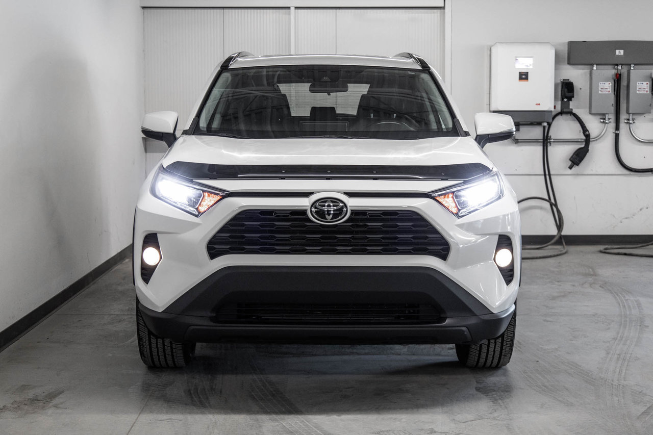 2019 Toyota RAV4 XLE-1