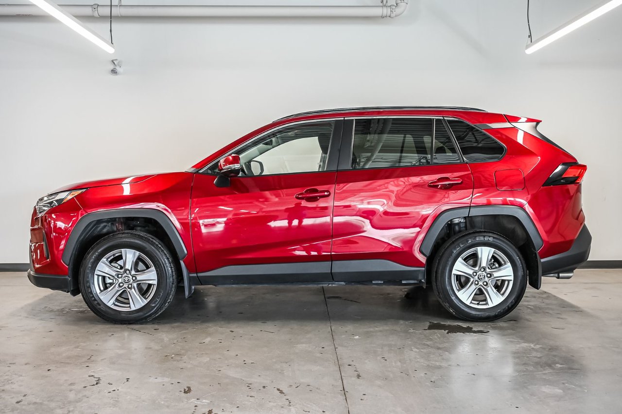 2025 Toyota RAV4 XLE-3
