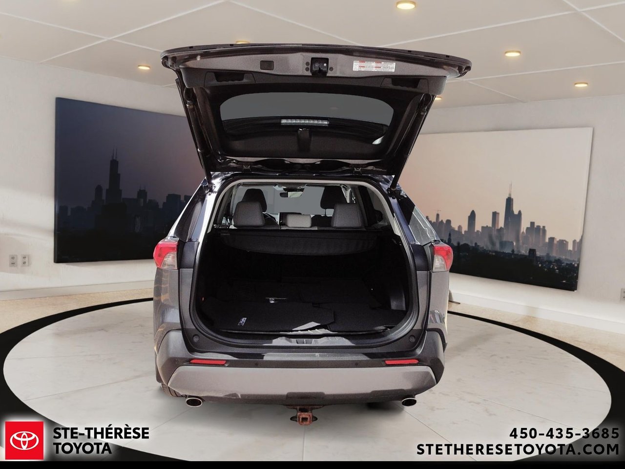 2020 Toyota RAV4 Limited-6