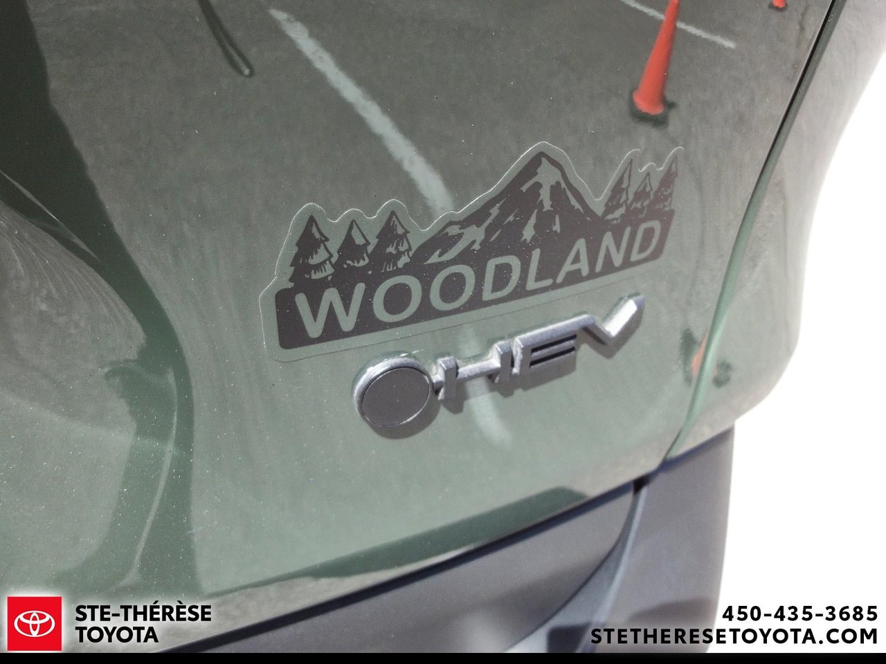 2025 Toyota RAV4 Hybrid AWD XLE Woodland-7