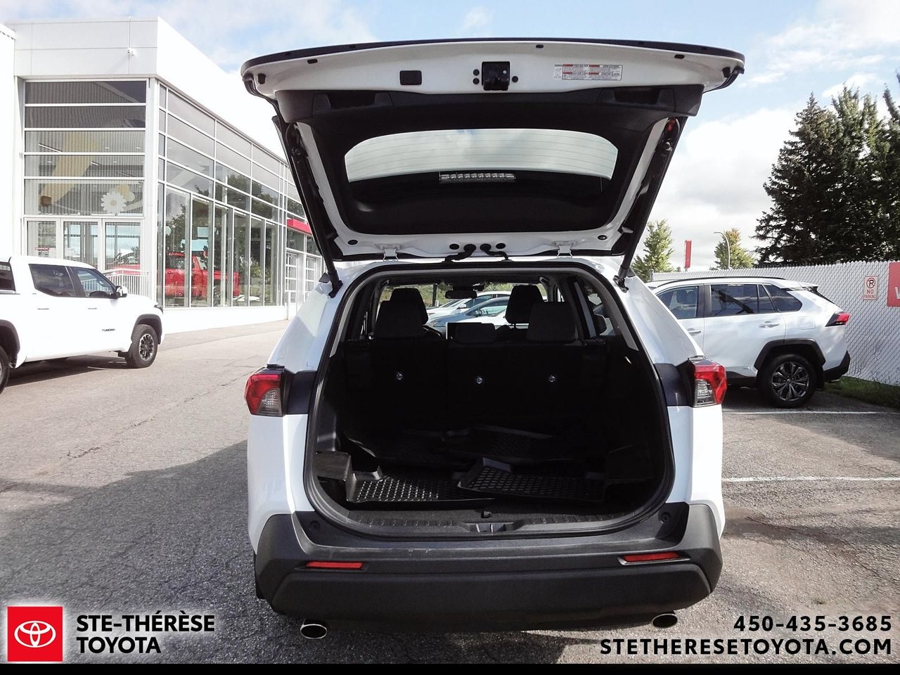 2025 Toyota RAV4 XLE-6