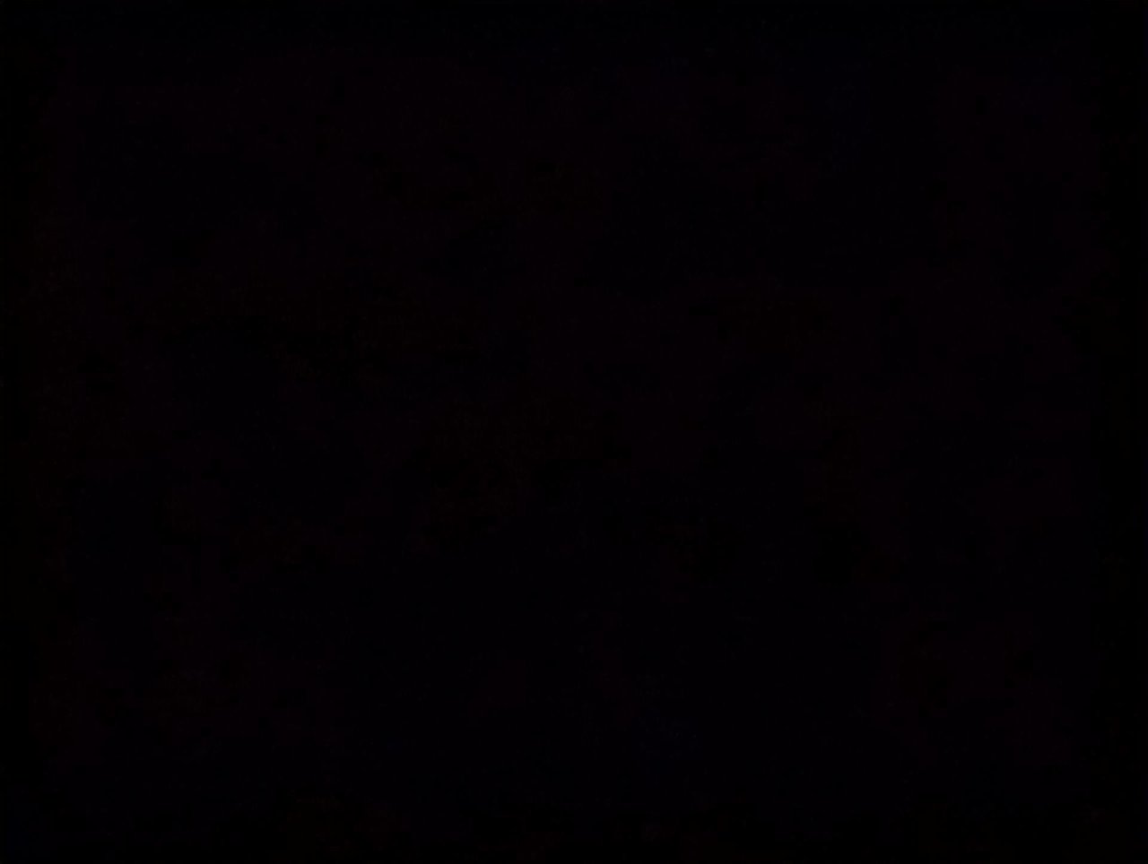 2024 Volkswagen Tiguan Comfortline-23