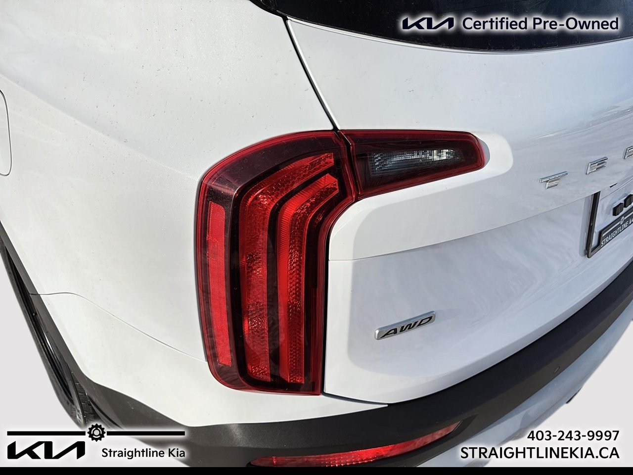 2021 Kia TELLURIDE EX-10