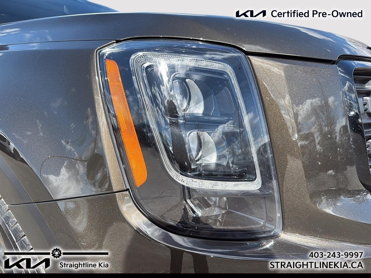 2022 Kia Telluride NIGHTSKY-8