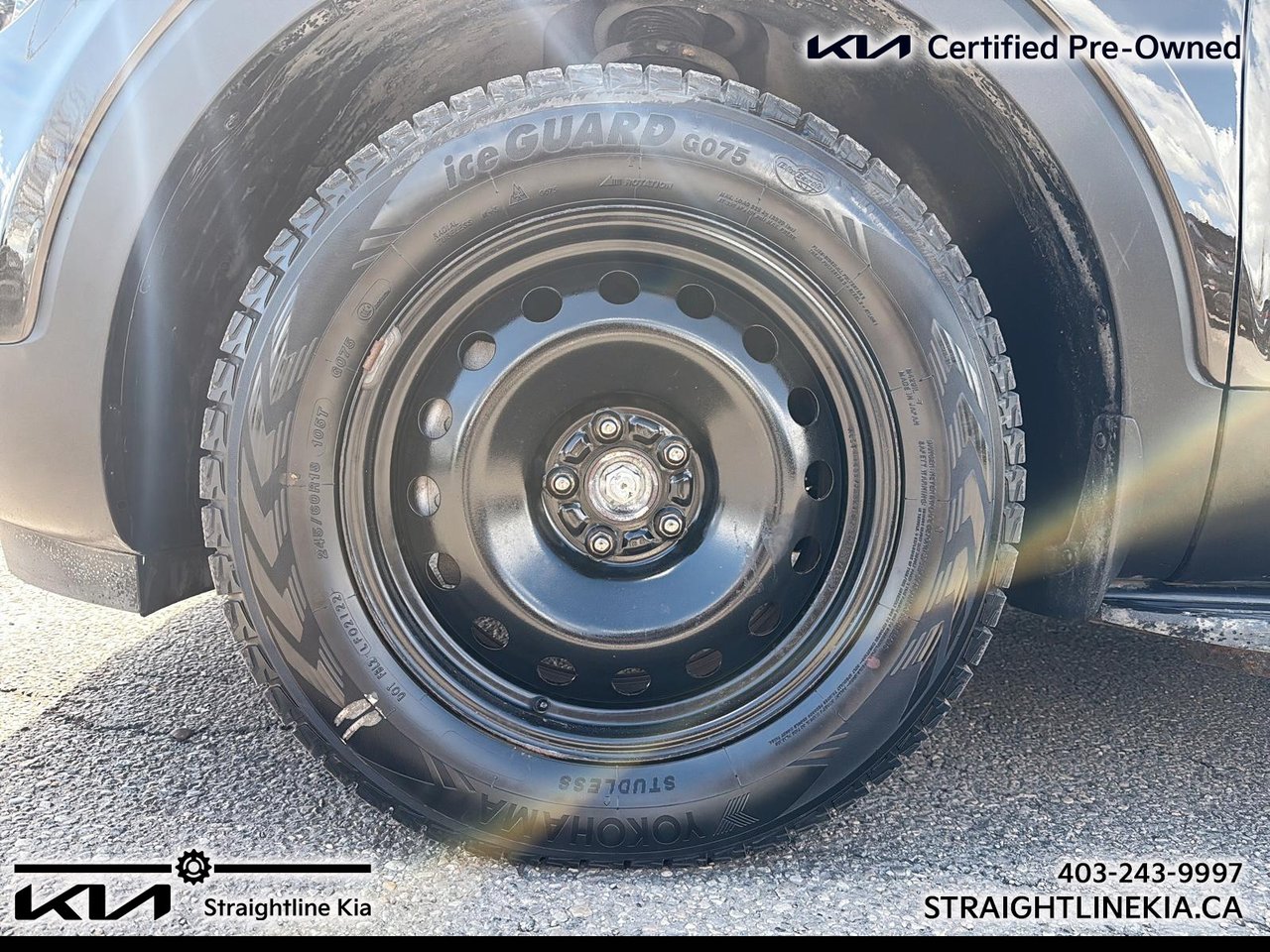 2022 Kia Telluride NIGHTSKY-6