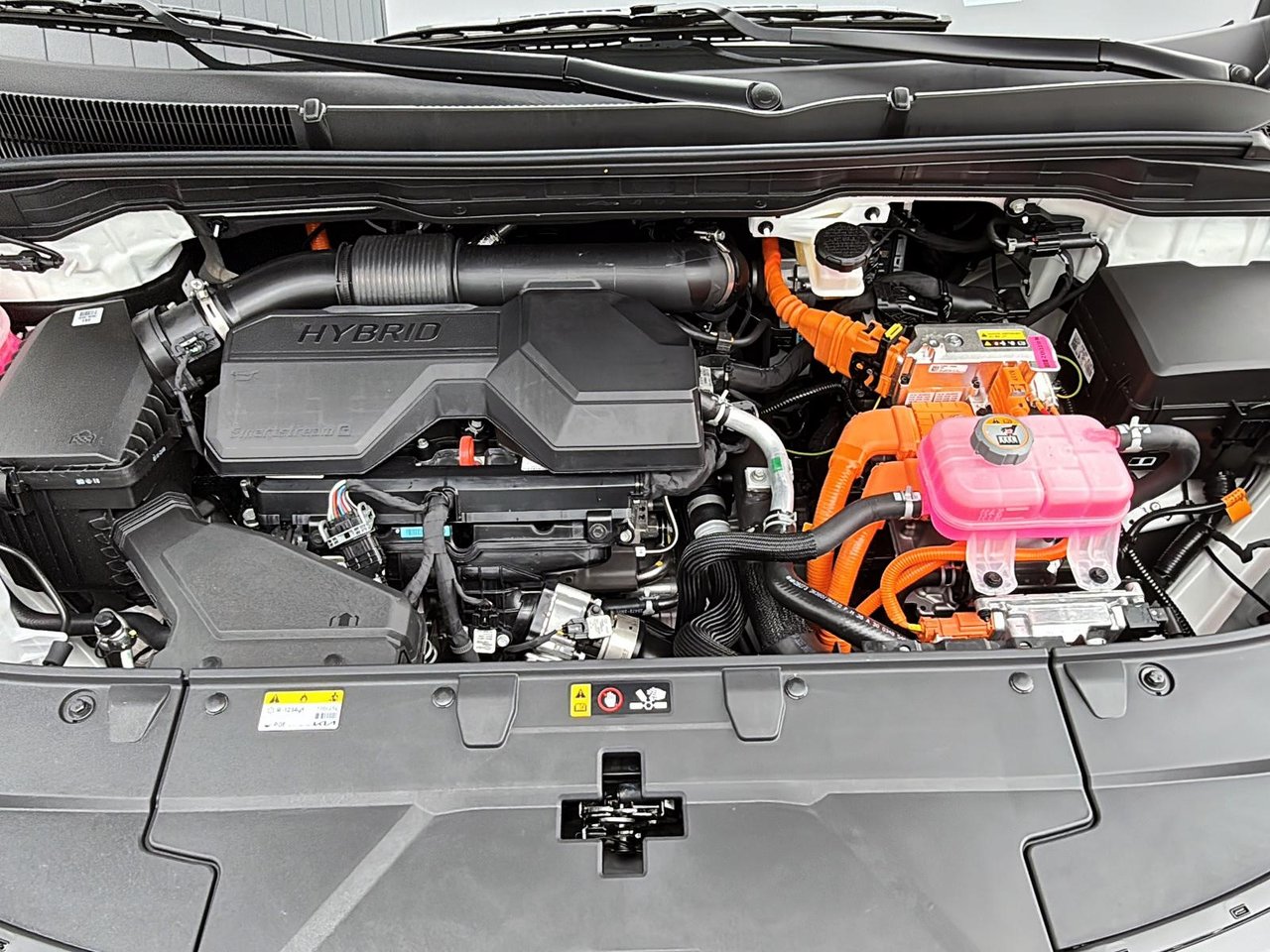 2026 Kia Carnival HEV LX+-7