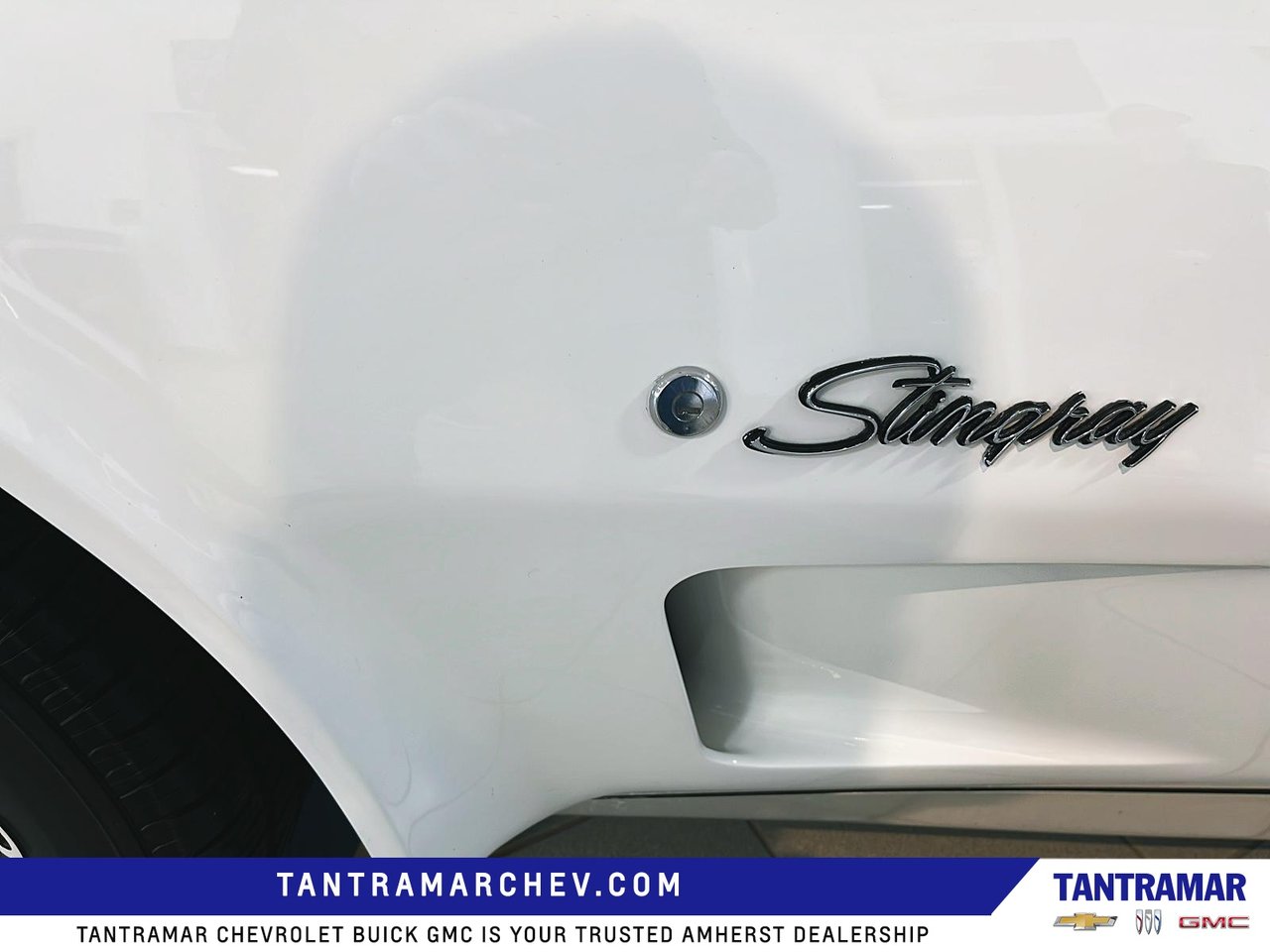 1974 Chevrolet CORVETTE STINGRAY CONVERTIB-12