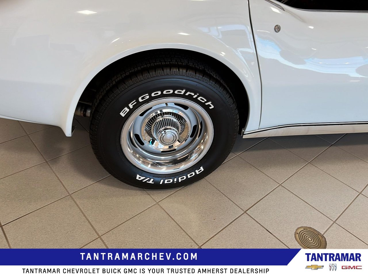 1974 Chevrolet CORVETTE STINGRAY CONVERTIB-15