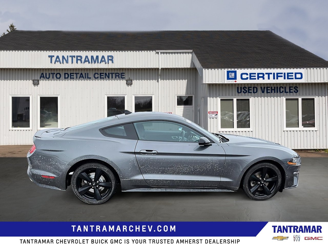 2023 Ford Mustang EcoBoost-5