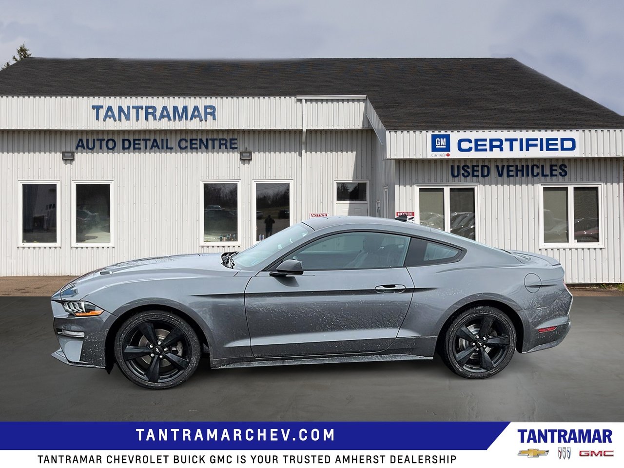 2023 Ford Mustang EcoBoost-1