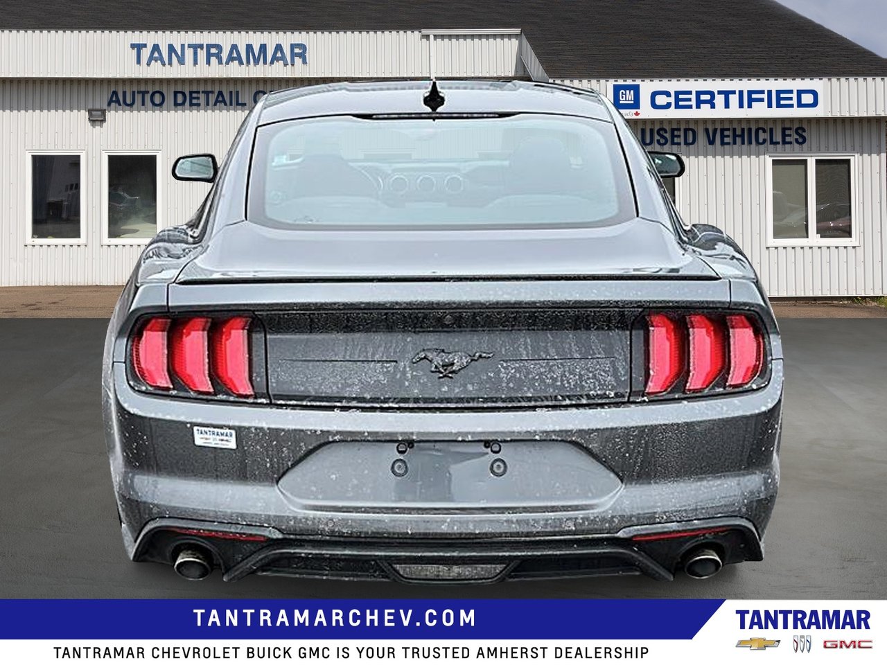 2023 Ford Mustang EcoBoost-3