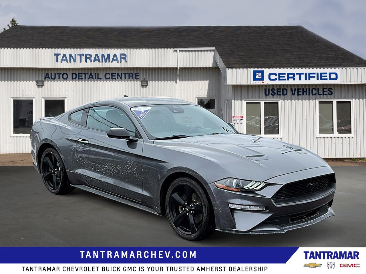 2023 Ford Mustang EcoBoost-6