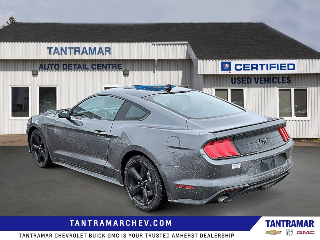 2023 Ford Mustang EcoBoost-2