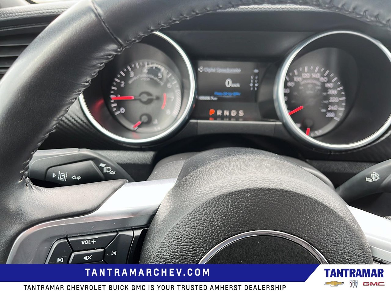 2023 Ford Mustang EcoBoost-11