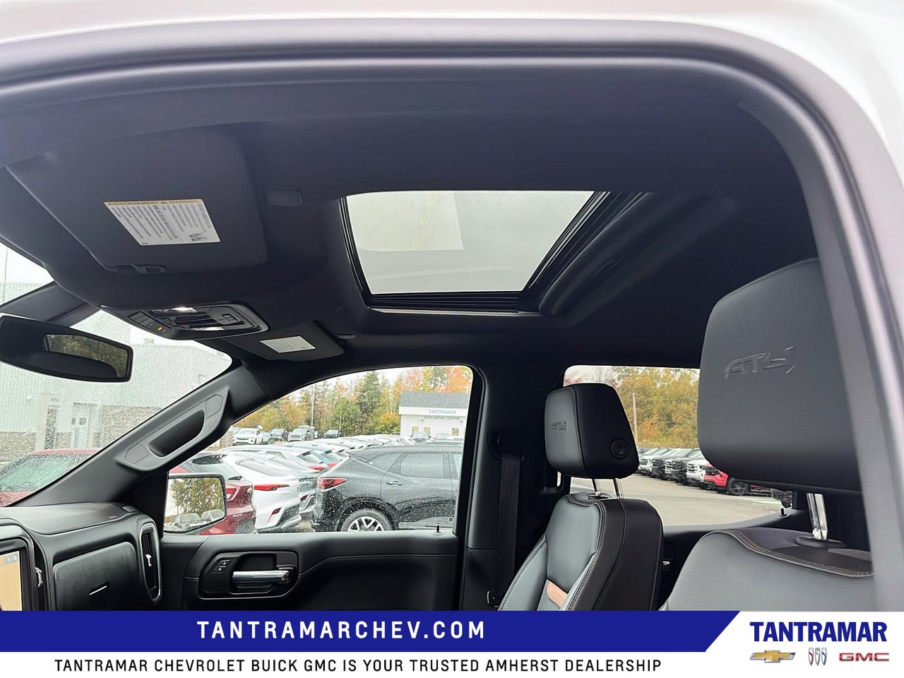 2020 GMC Sierra 1500 AT4-13