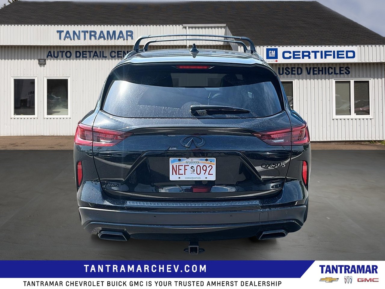 2023 Infiniti QX50 SPORT-3