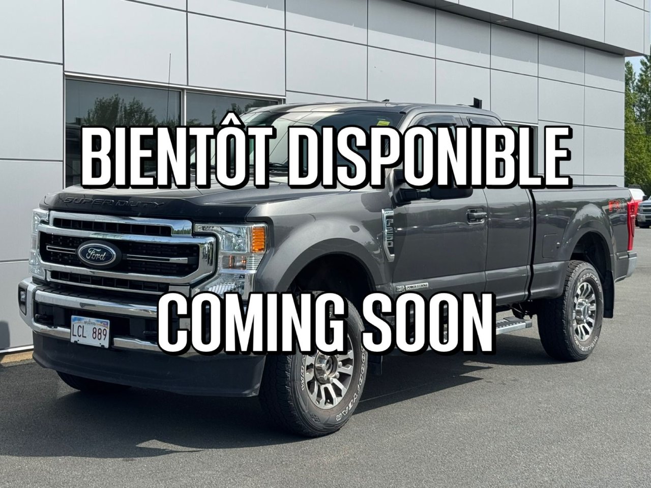 Gray (Stone Grey) 2020 Ford F-250 Super Duty Pickup Truck Four-Wheel Drive Automatic