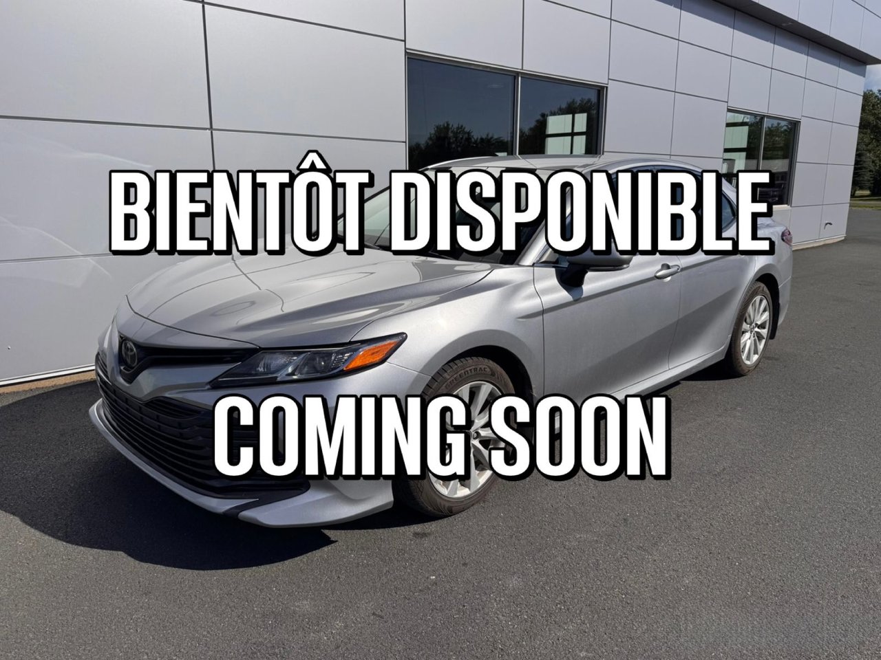 Gray (Pre-Dawn Grey Mica) 2019 Toyota Camry Sedan Front-Wheel Drive Automatic