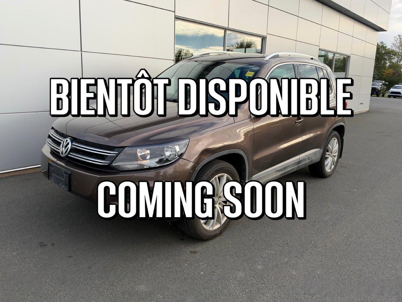 Toffee Brown Metallic 2015 Volkswagen Tiguan SUV / Crossover Automatic
