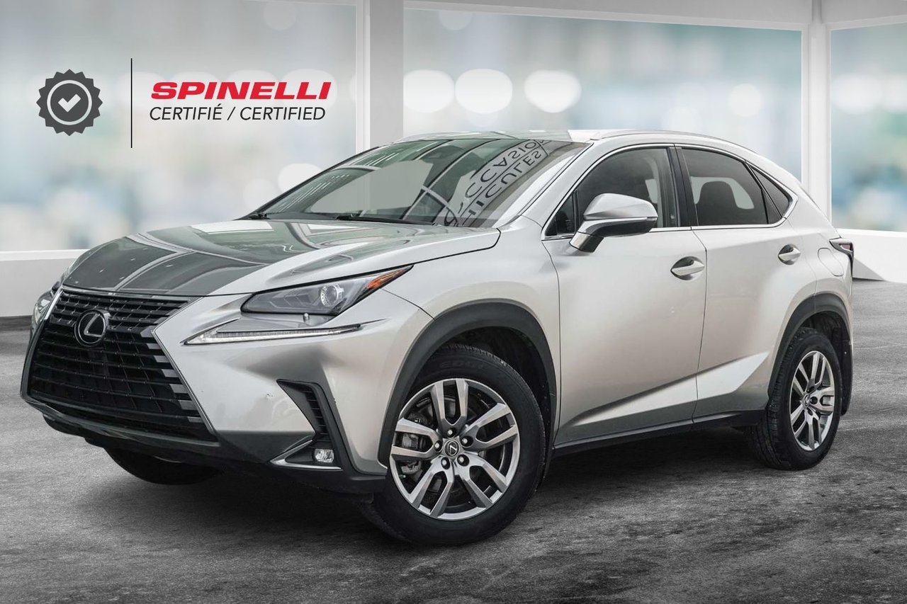 Gray (Nebula Grey Pearl) 2019 Lexus NX SUV / Crossover All-Wheel Drive Automatic