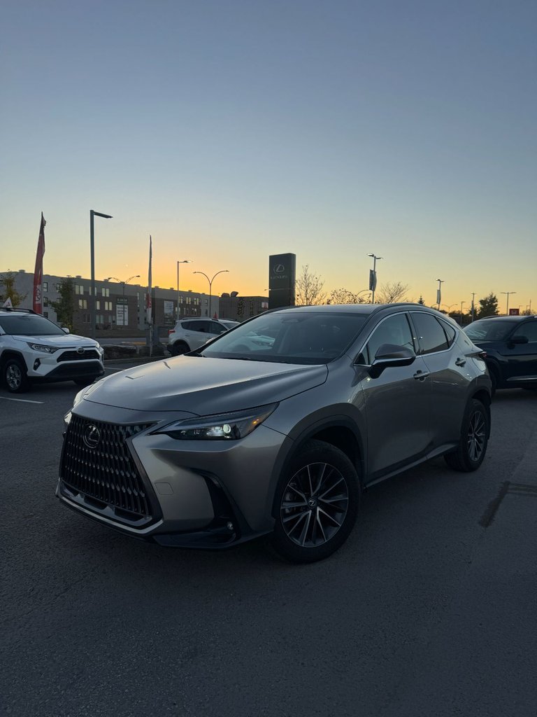 Silver 2024 Lexus NX Hybrid SUV / Crossover