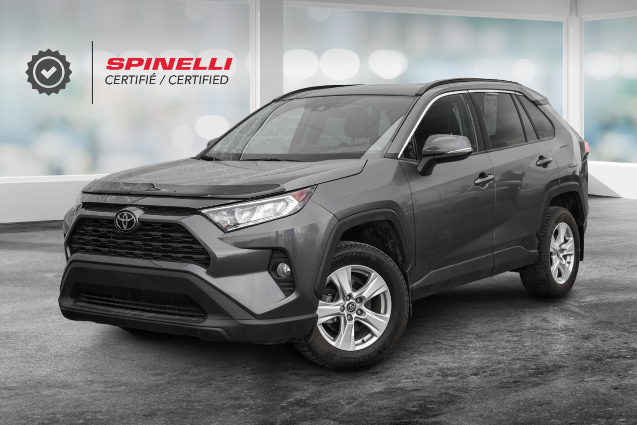 Gray 2019 Toyota RAV4 SUV / Crossover All-Wheel Drive Automatic