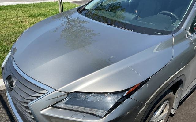 2019 Lexus RX