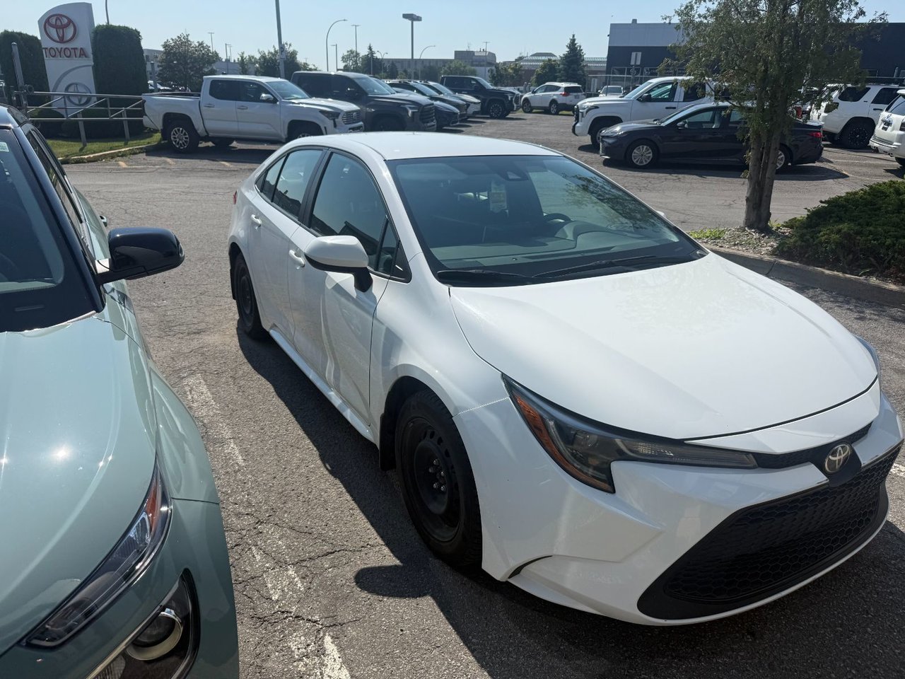 White 2021 Toyota Corolla Sedan Front-Wheel Drive