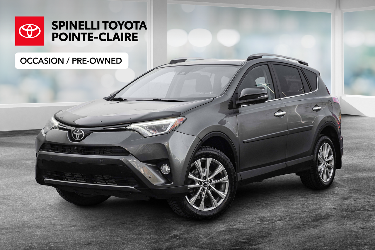 Gray 2018 Toyota RAV4 SUV / Crossover All-Wheel Drive Automatic