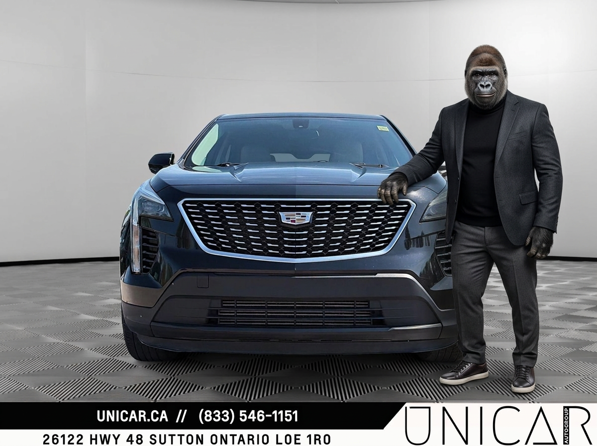 Black 2019 Cadillac XT4 SUV / Crossover Four-Wheel Drive Automatic