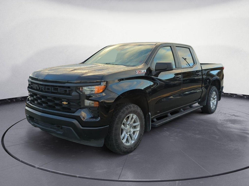 Chevrolet Silverado 1500 WORK TRUCK 2023