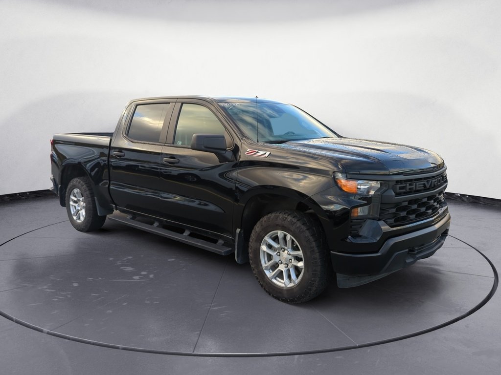 2023 Chevrolet Silverado 1500 WORK TRUCK