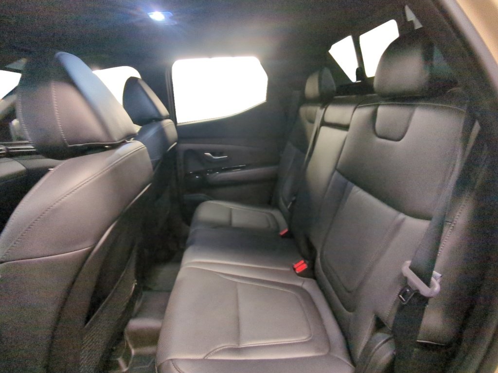 2023 Hyundai Santa Cruz TREND