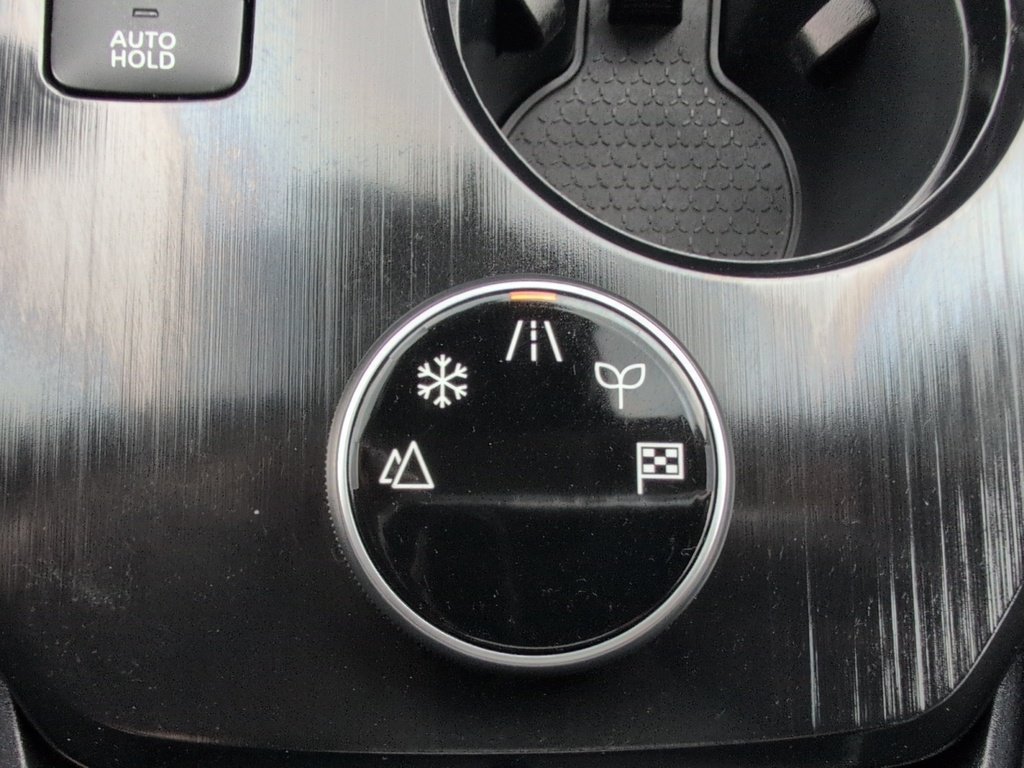 Nissan Rogue PLATINUM AWD! 2022