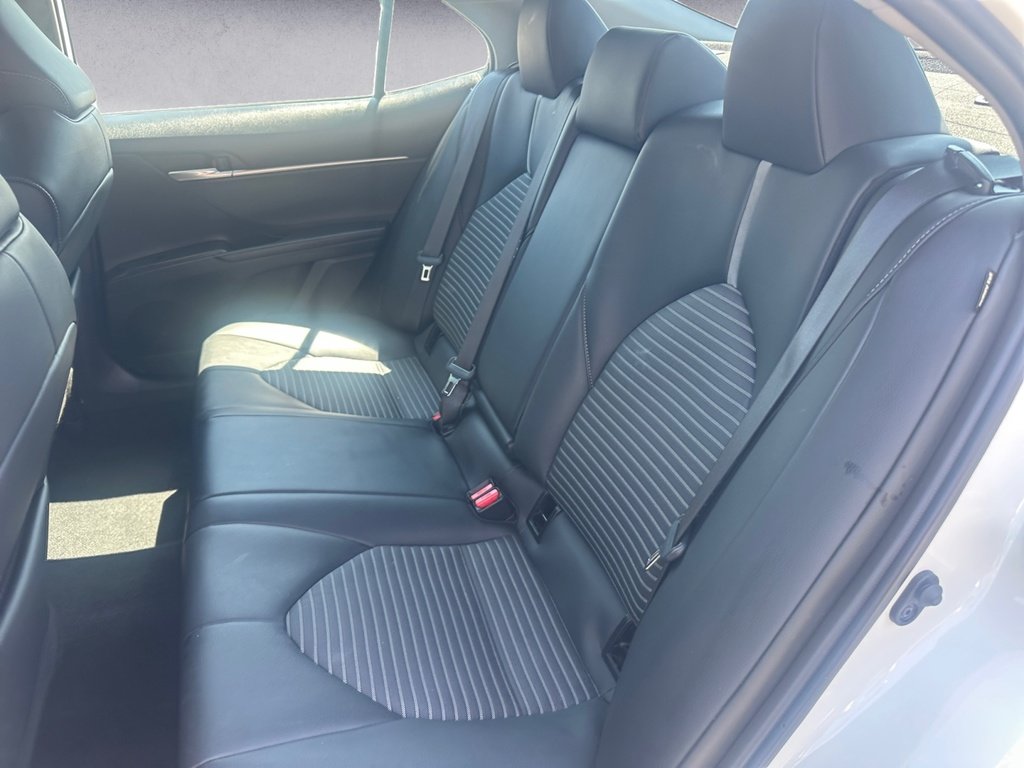 2023 Toyota Camry /SE/LE/XLE