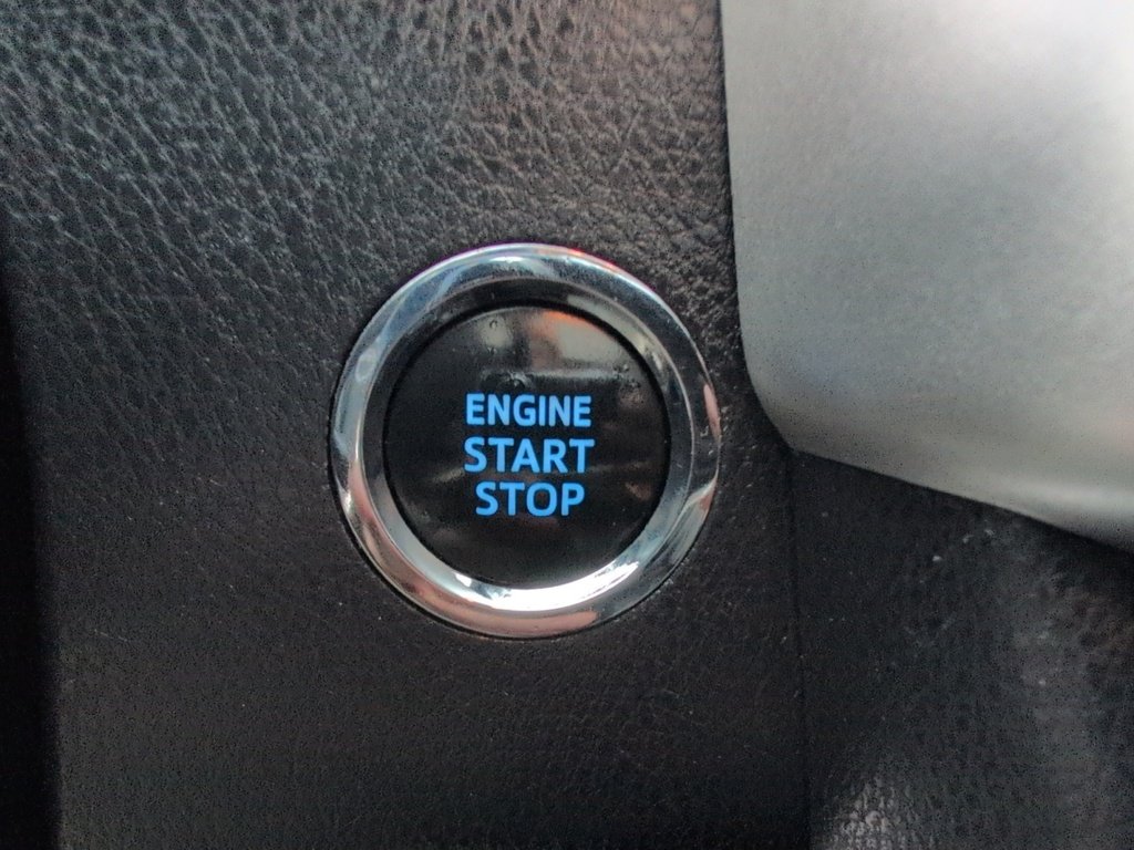 2019 Toyota Highlander XLE - Fresh Trade