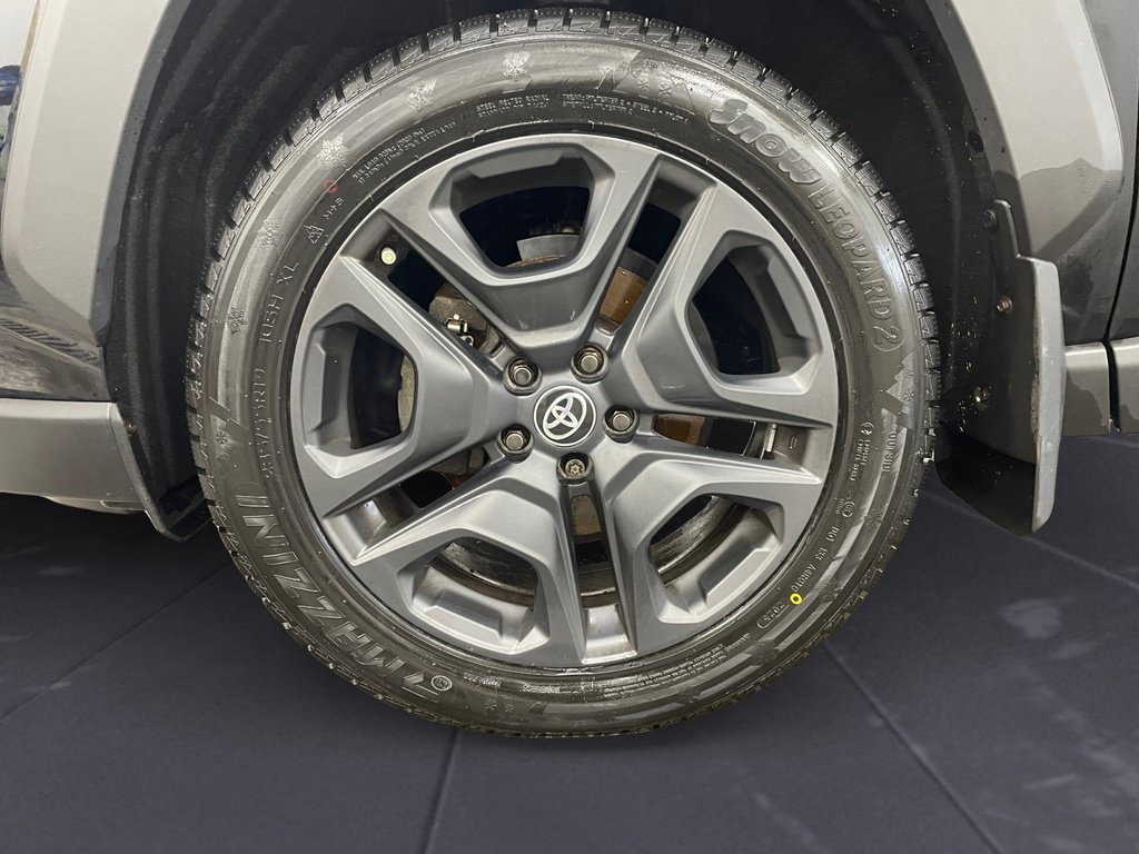 2023 Toyota RAV4 TRAIL