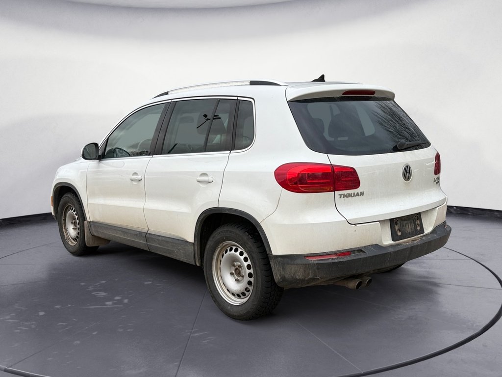 2015 Volkswagen Tiguan S
