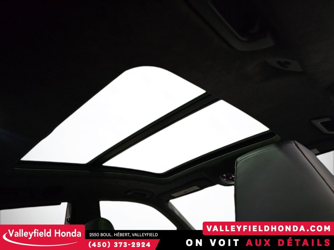 Audi RS Q8 591 HP QUATTRO - BLACK OPTICS PACKAGE 2022-29